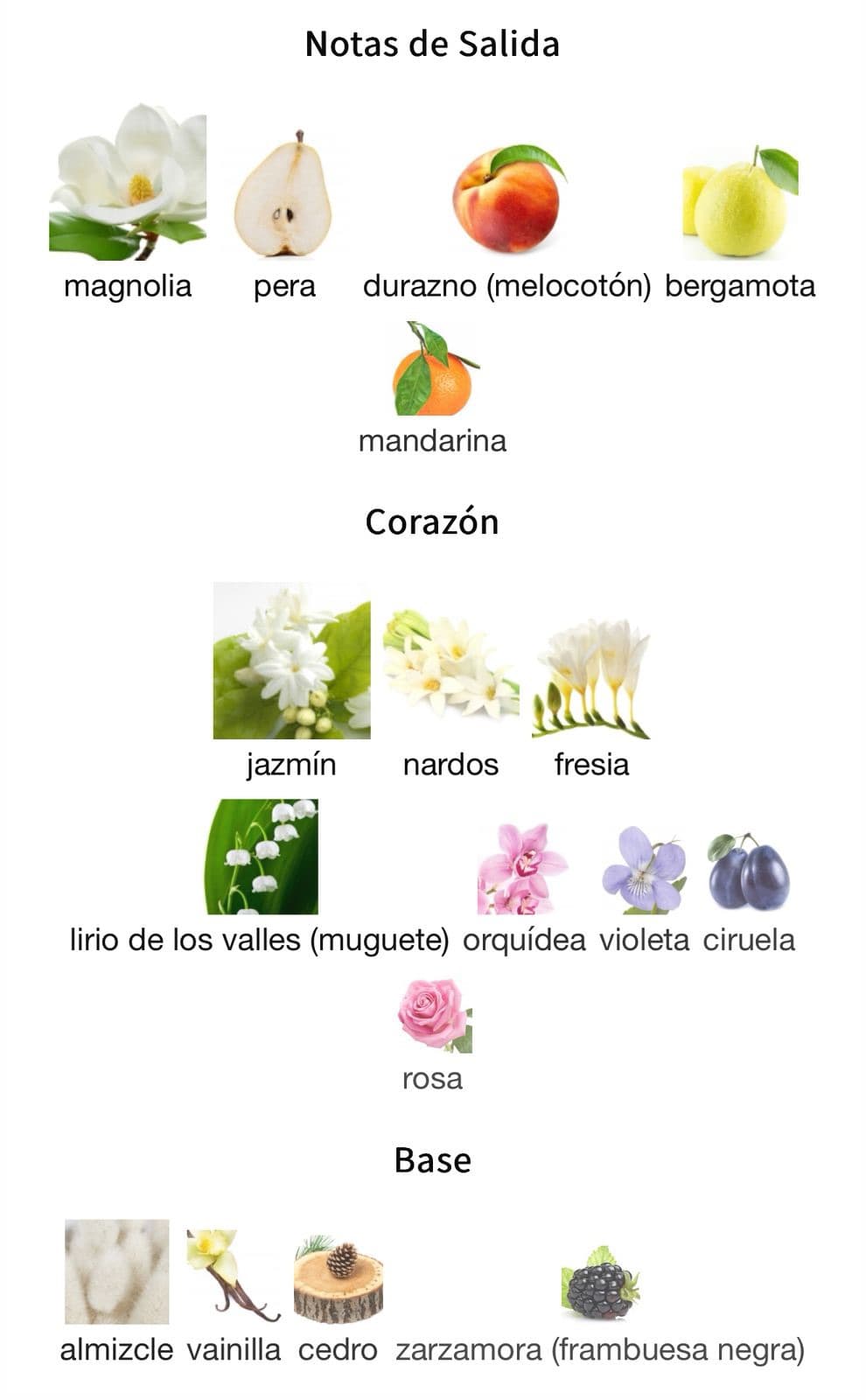 Miniatura de Jardín de Reve