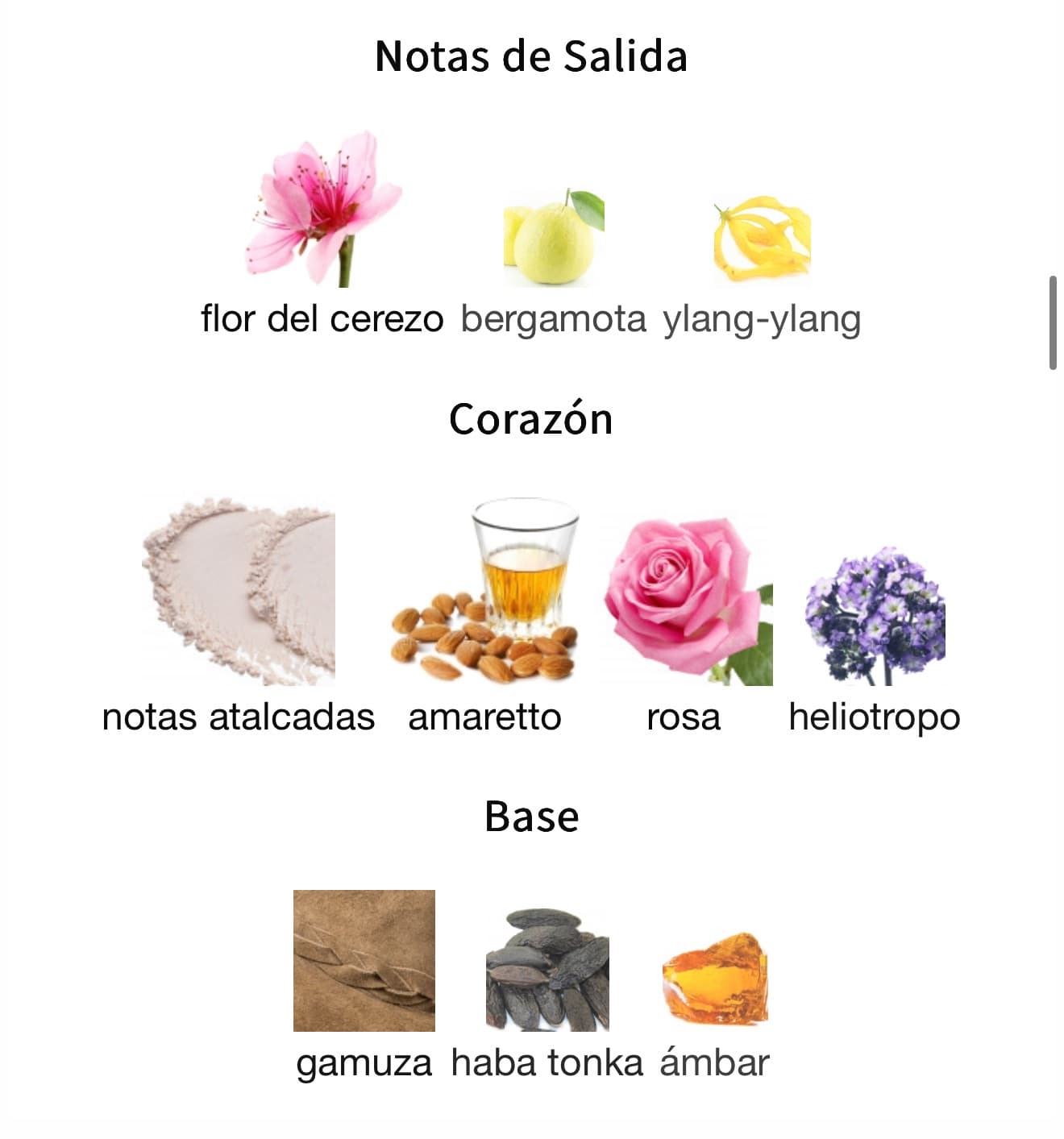 Miniatura de JUNOON ROSE