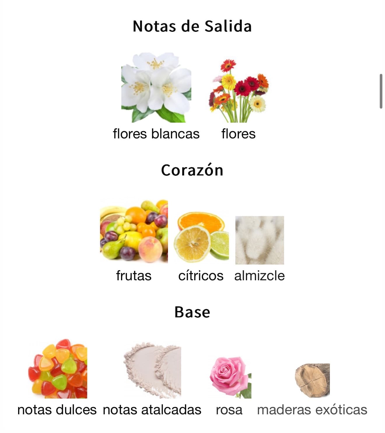 Miniatura de La Fleur Bouquet