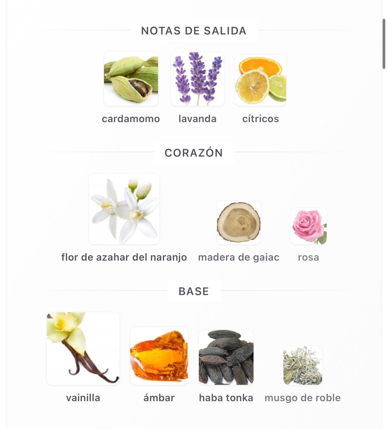 Miniatura de Liquid Brun Limited Edition