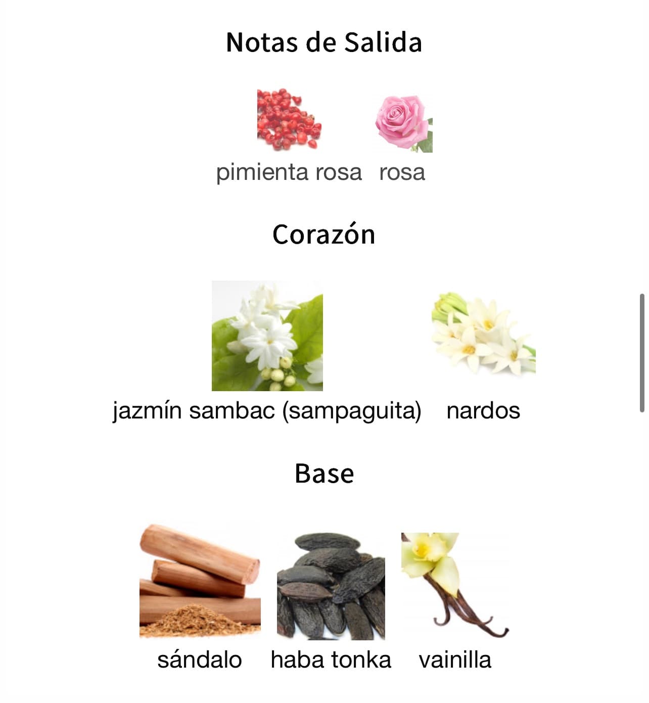 Miniatura de Lujain