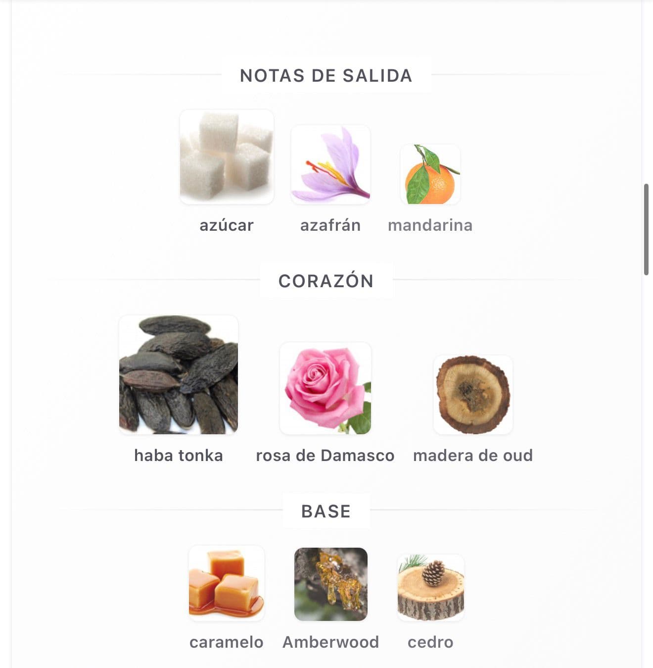 Miniatura de Momento