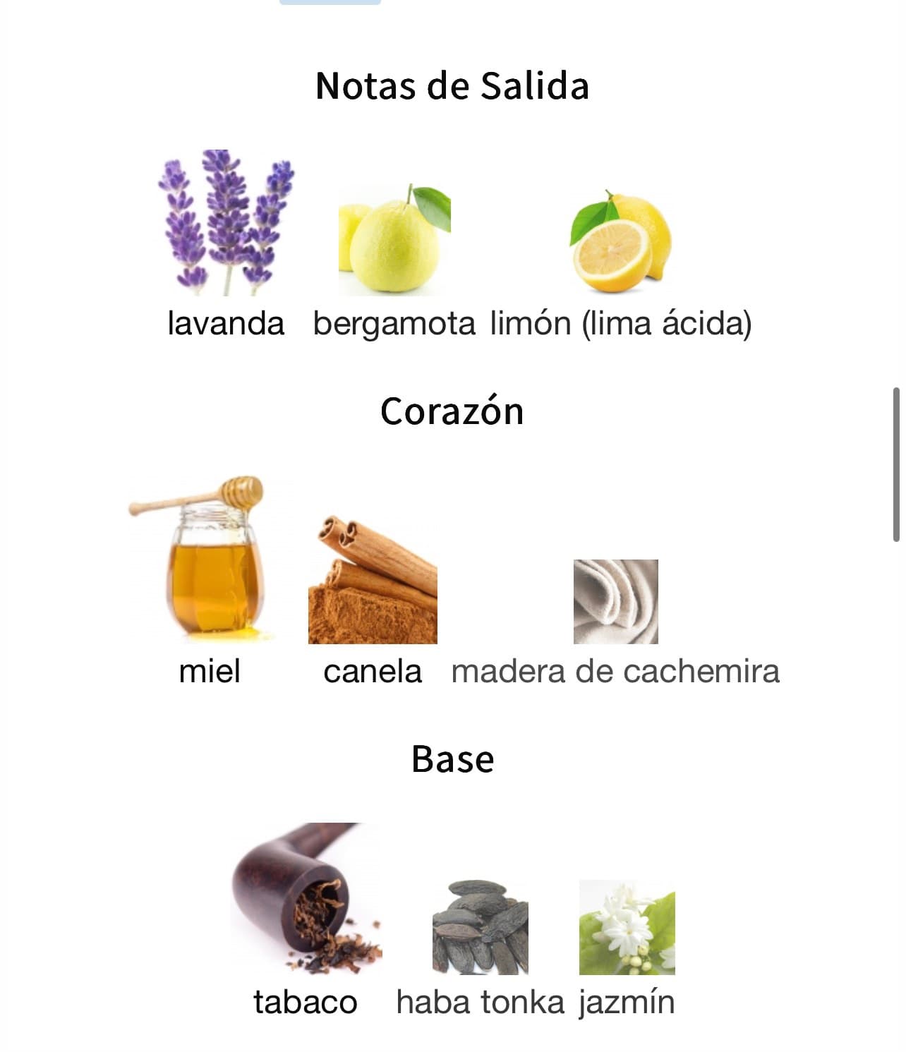 Miniatura de Muharib