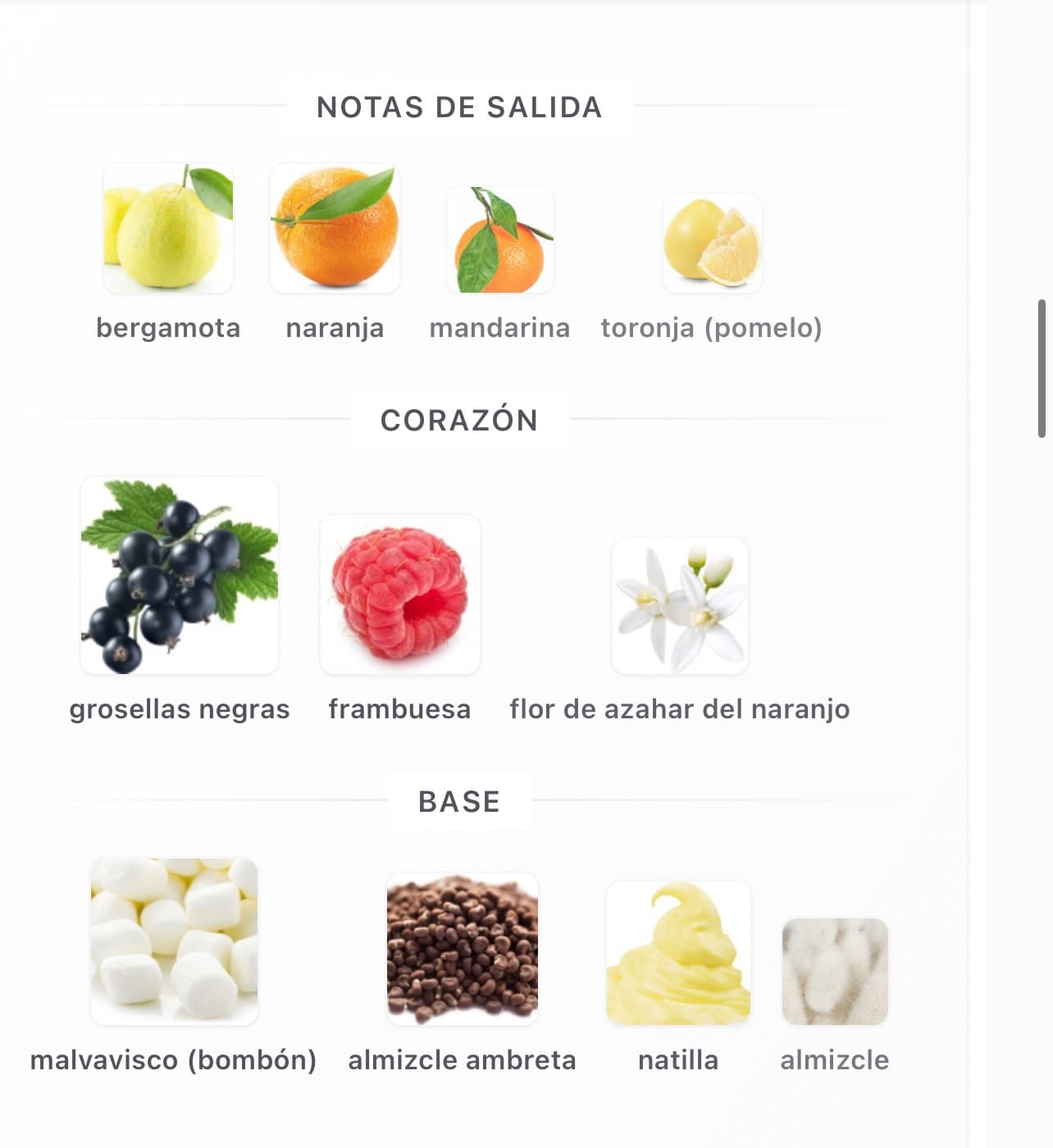 Miniatura de Nudo Sweet Berries