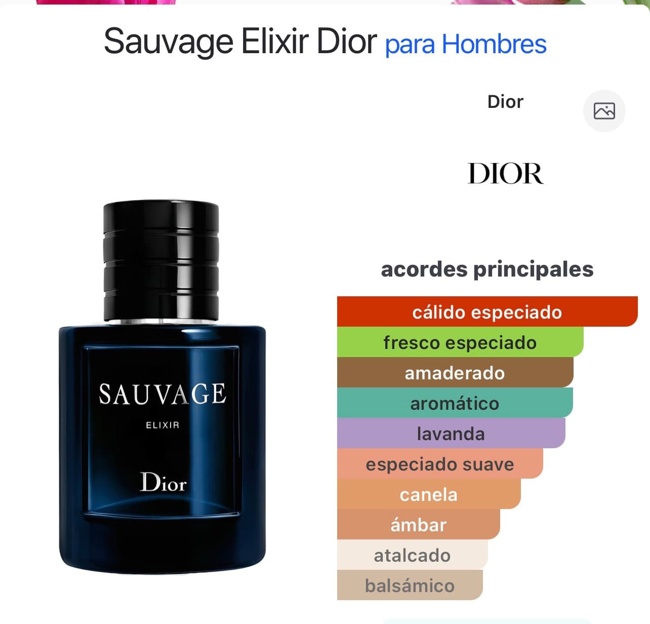 Miniatura de Ocean Blue