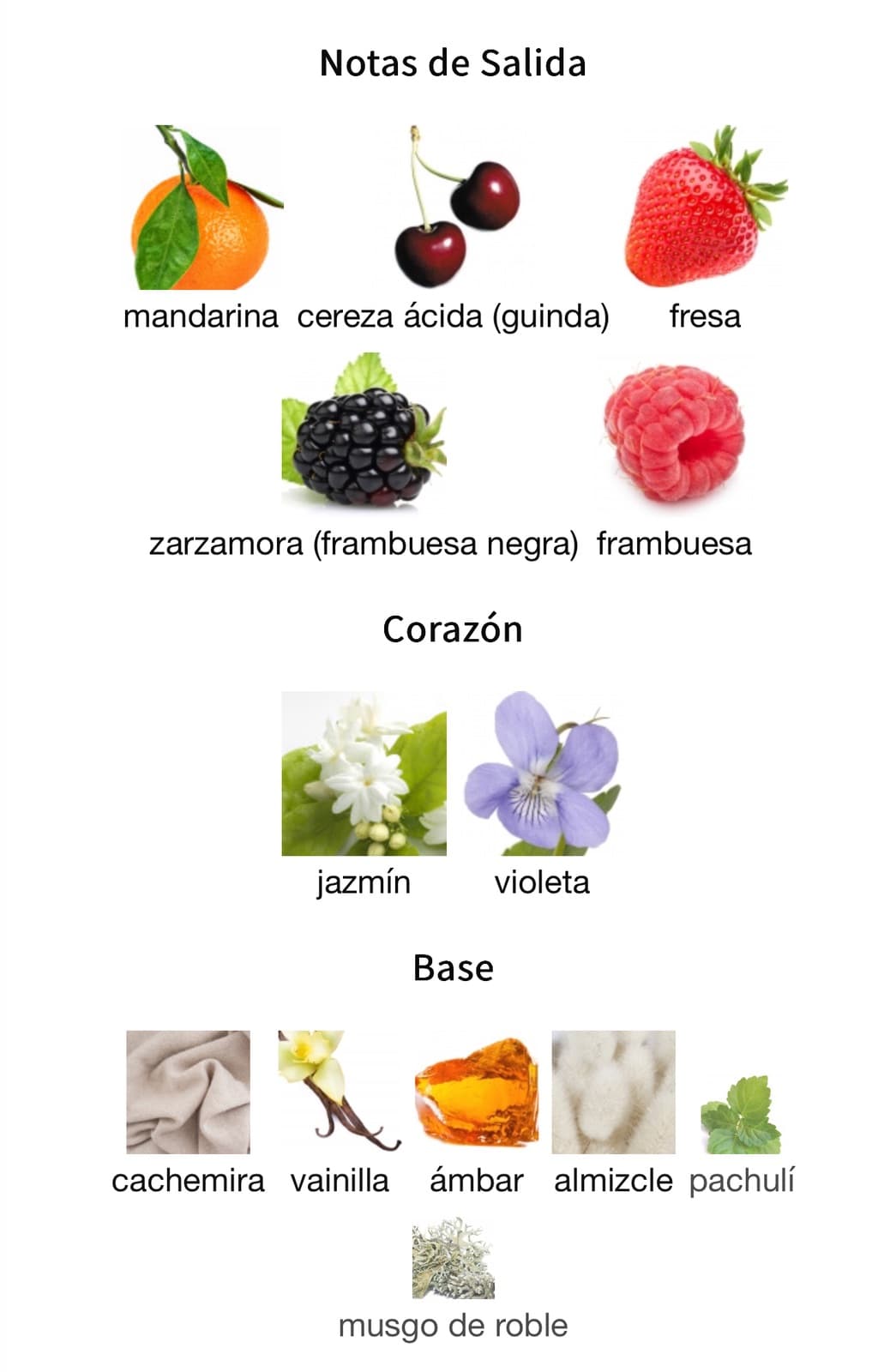 Miniatura de Odyssee I