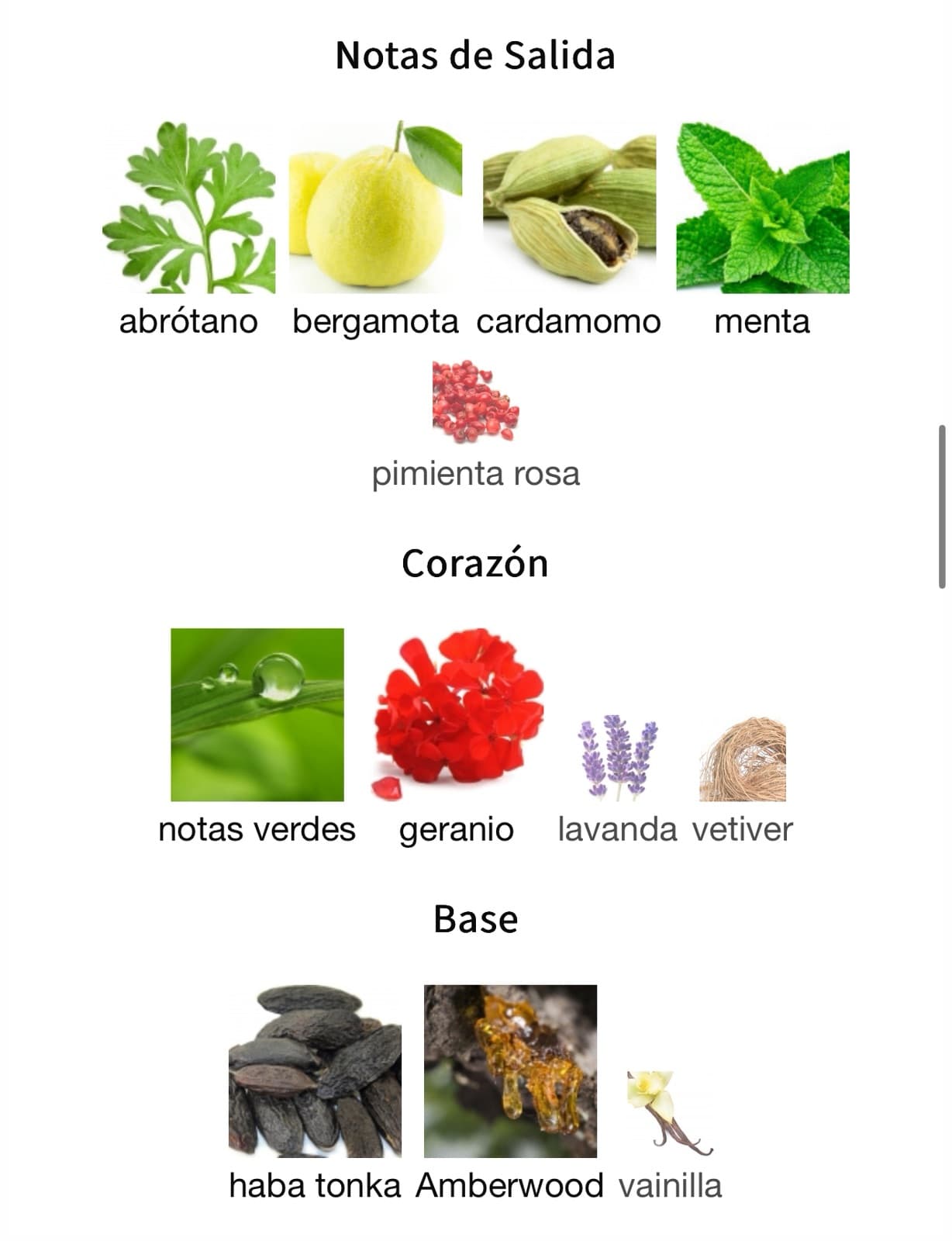 Miniatura de Osyssee III