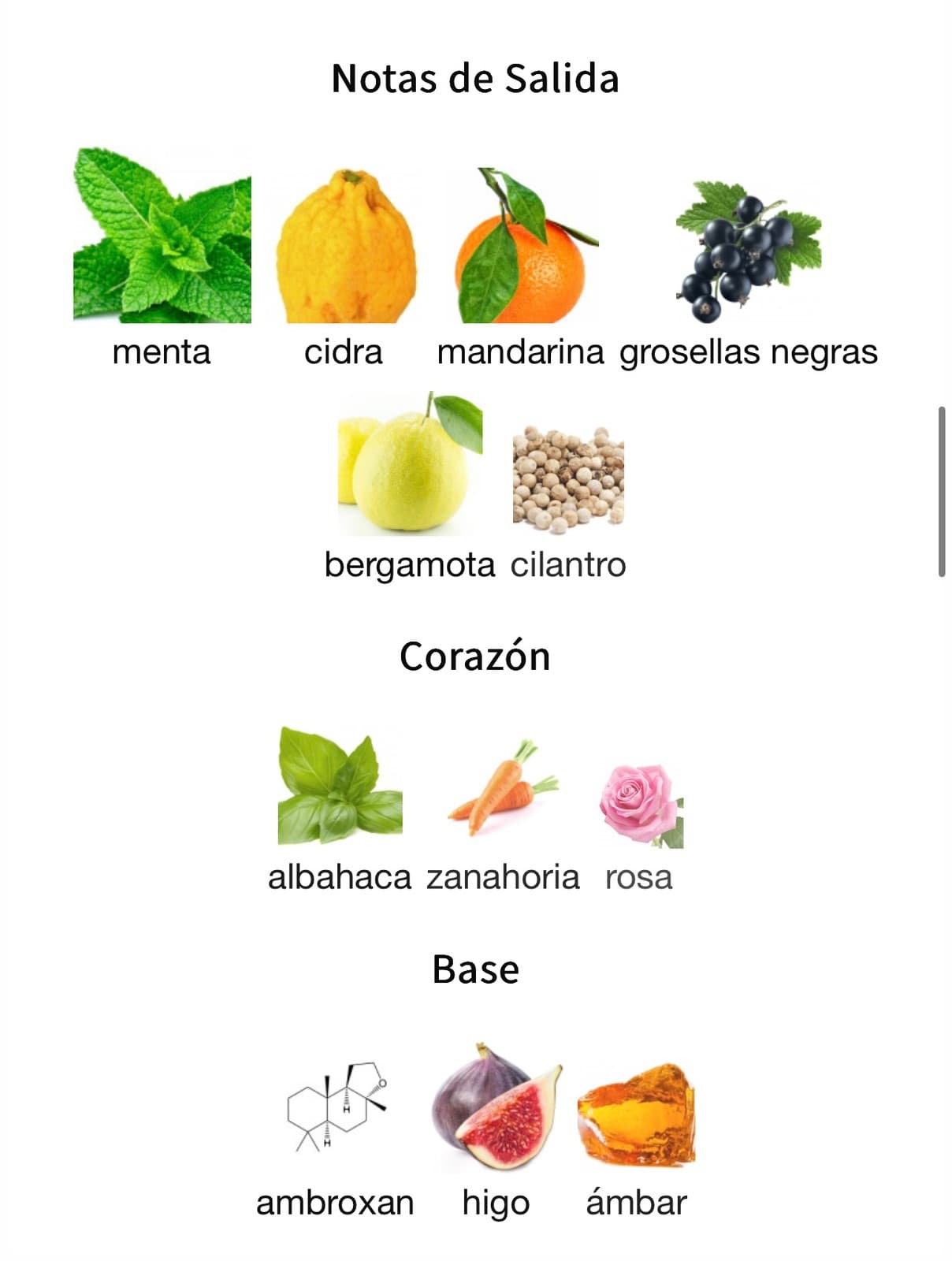 Miniatura de Pacific Aura