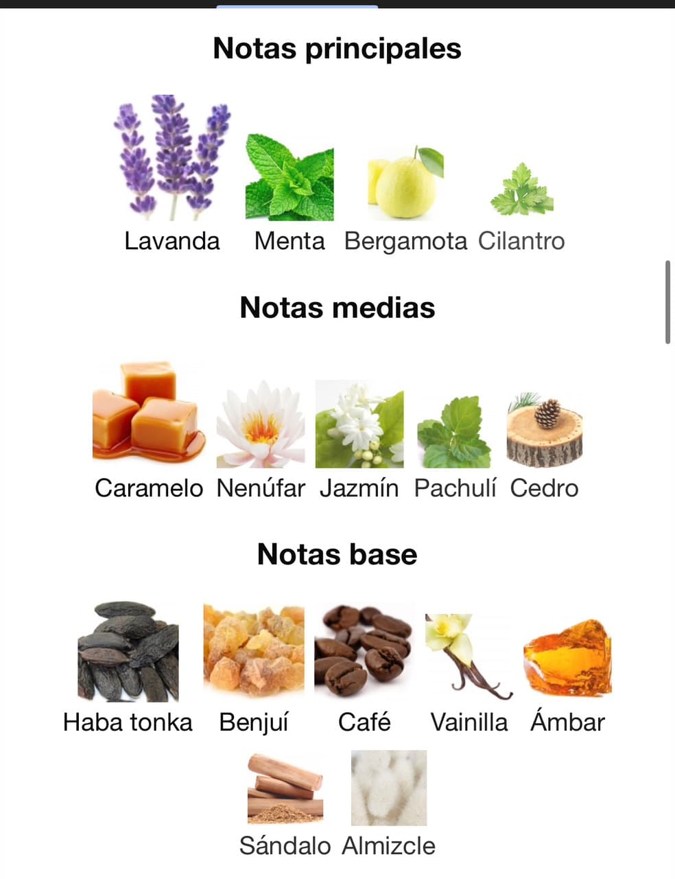 Miniatura de Privilege