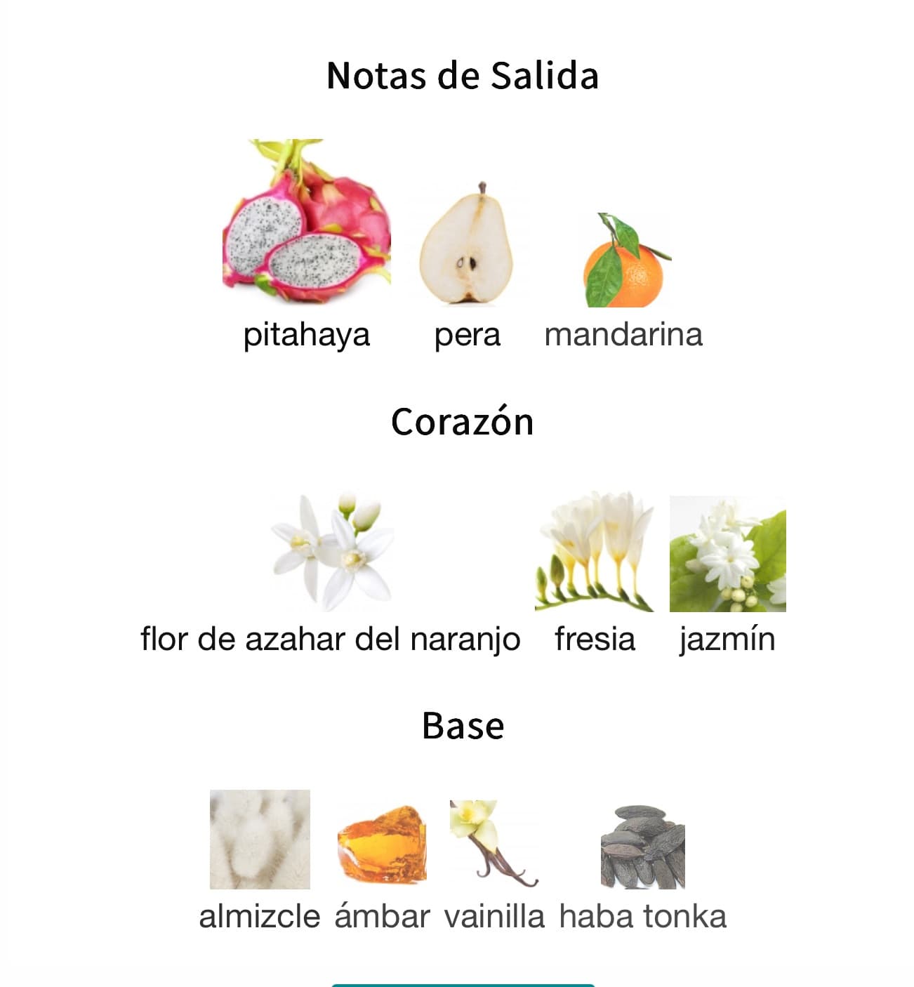 Miniatura de RANEEN EN FALTA