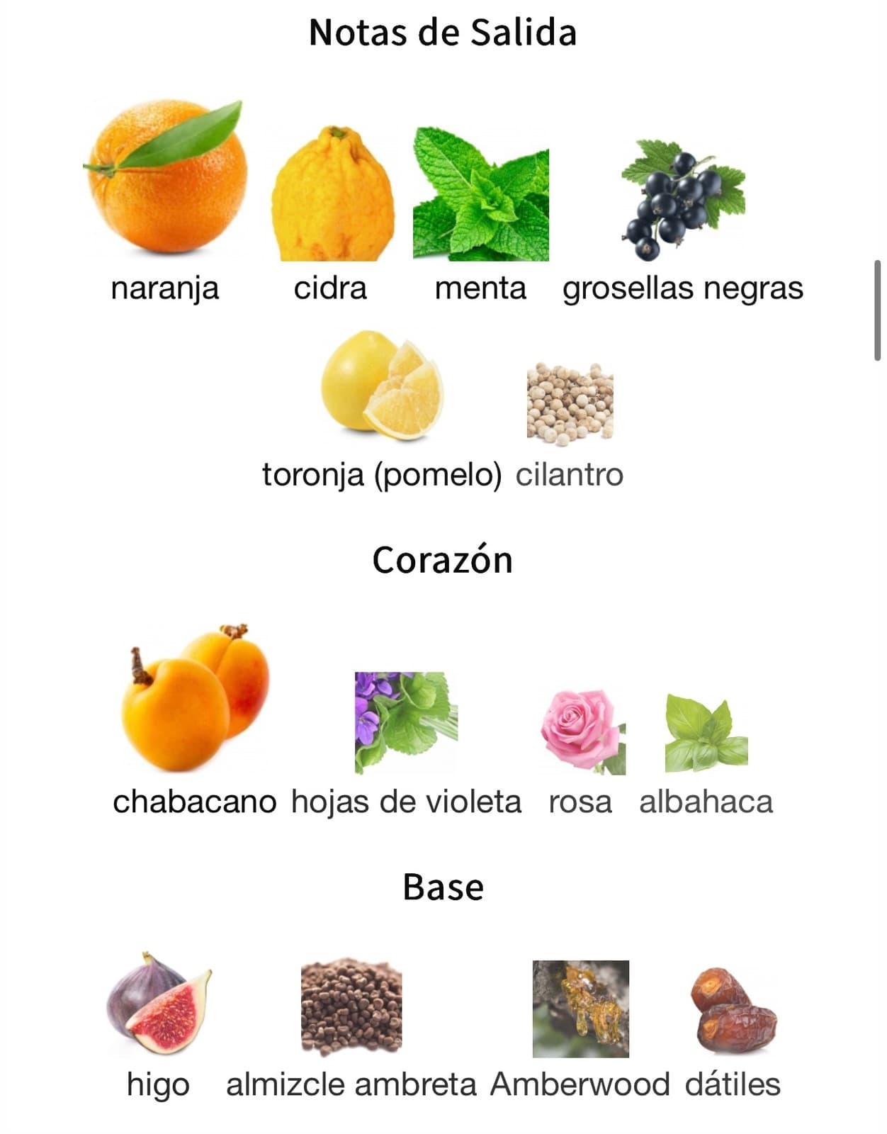 Miniatura de Rare Reef