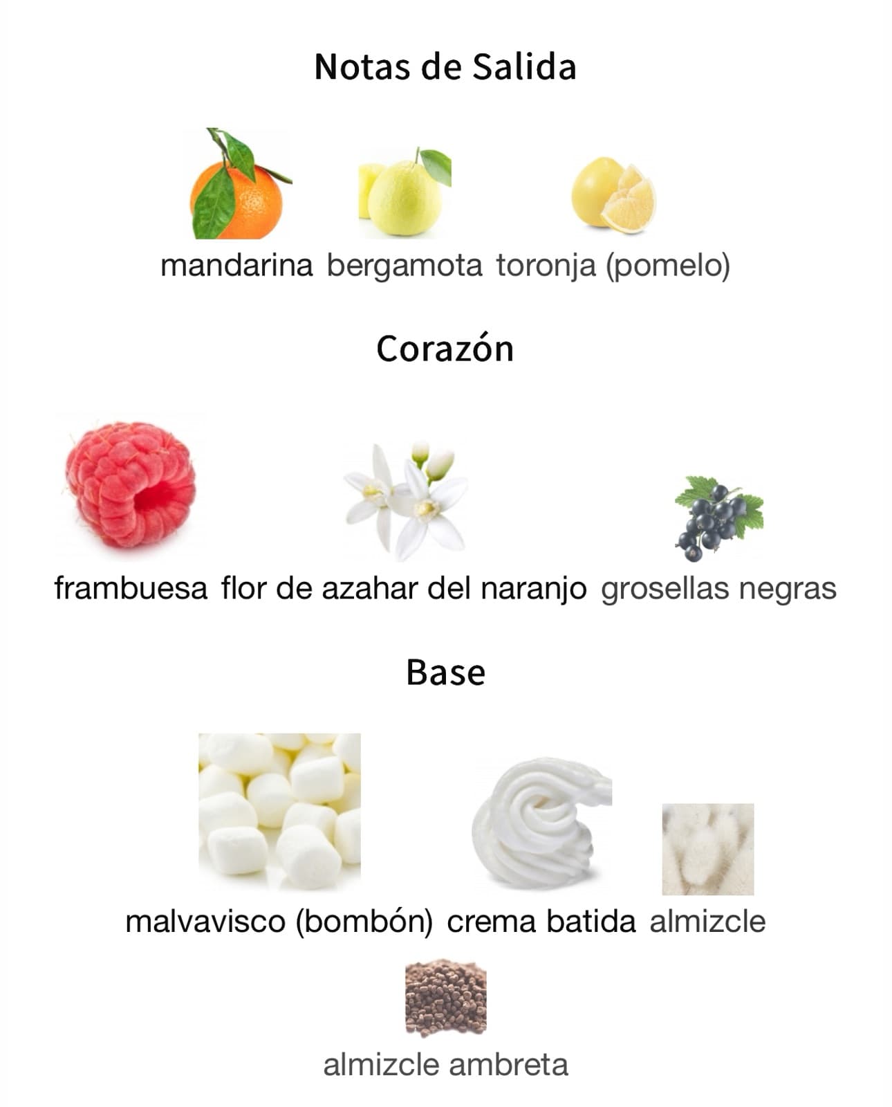 Miniatura de Reyna