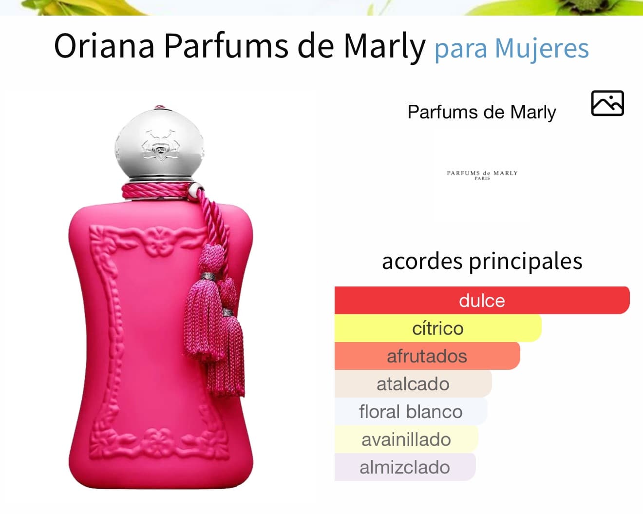 Miniatura de Reyna