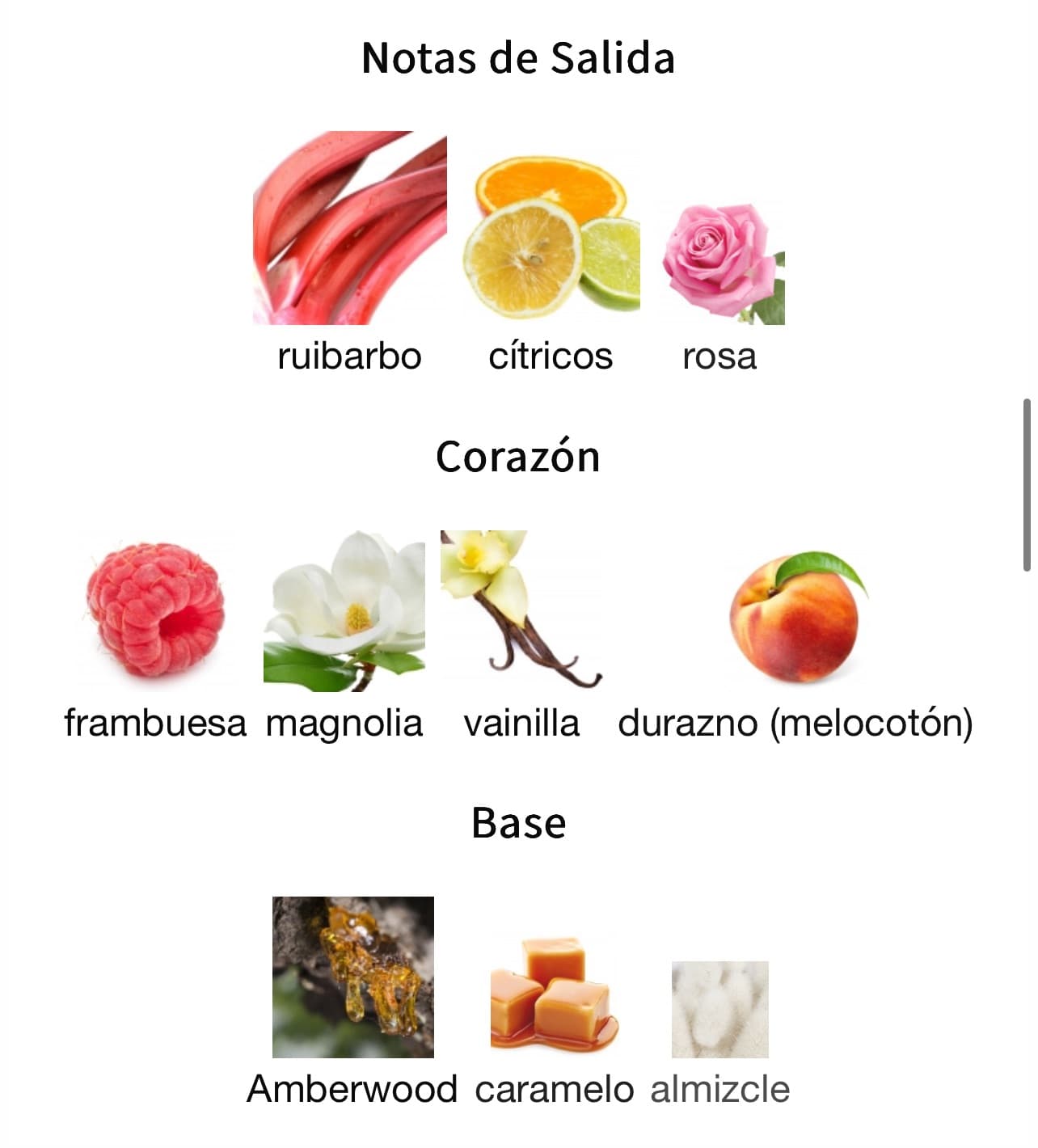 Miniatura de RUA