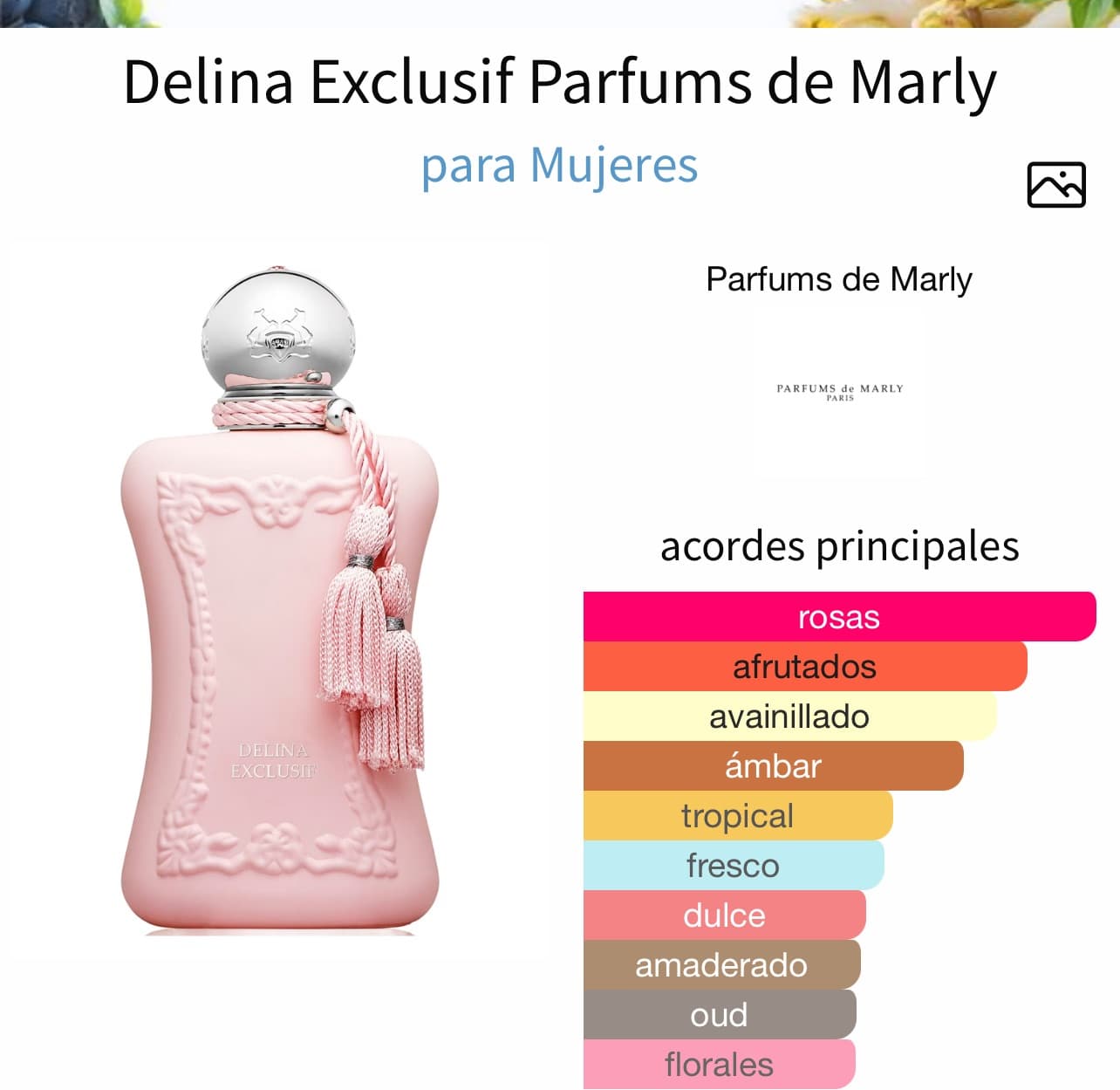 Miniatura de RUA