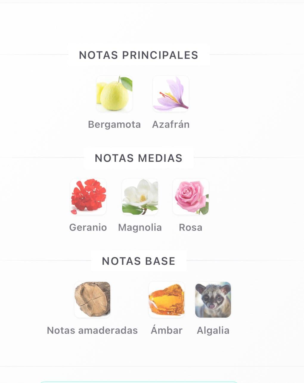 Miniatura de Ruby