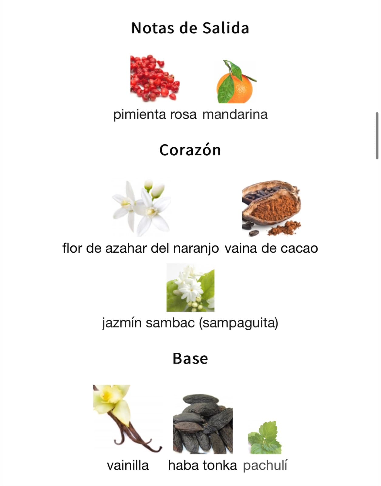 Miniatura de Sabah Al Ward