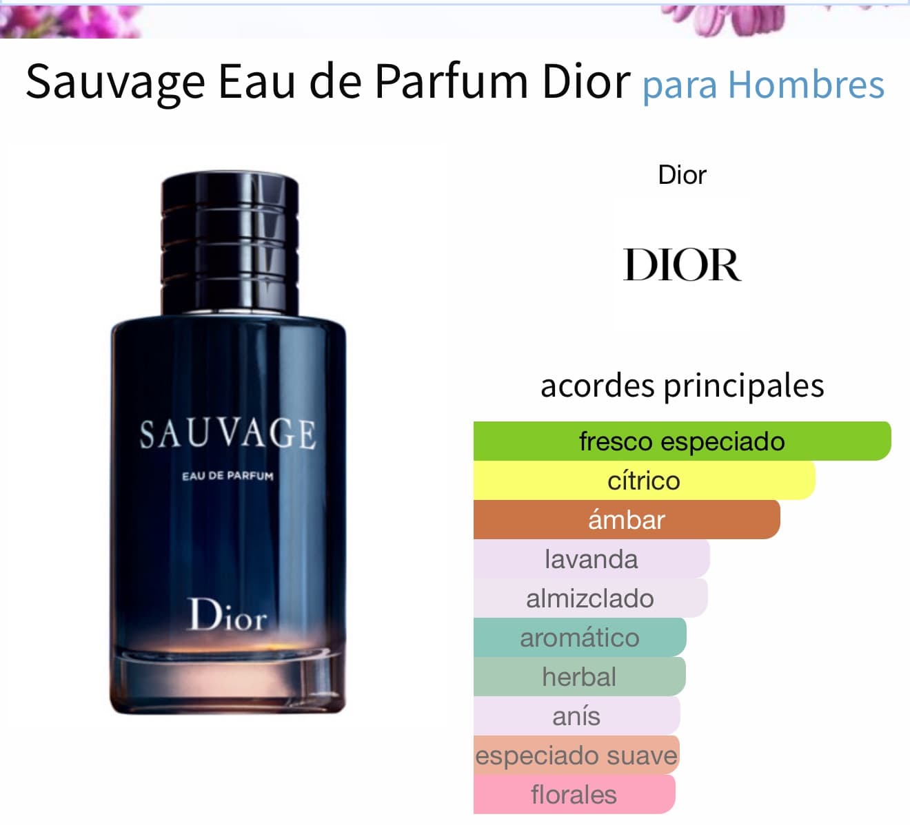 Miniatura de Salvo Intense