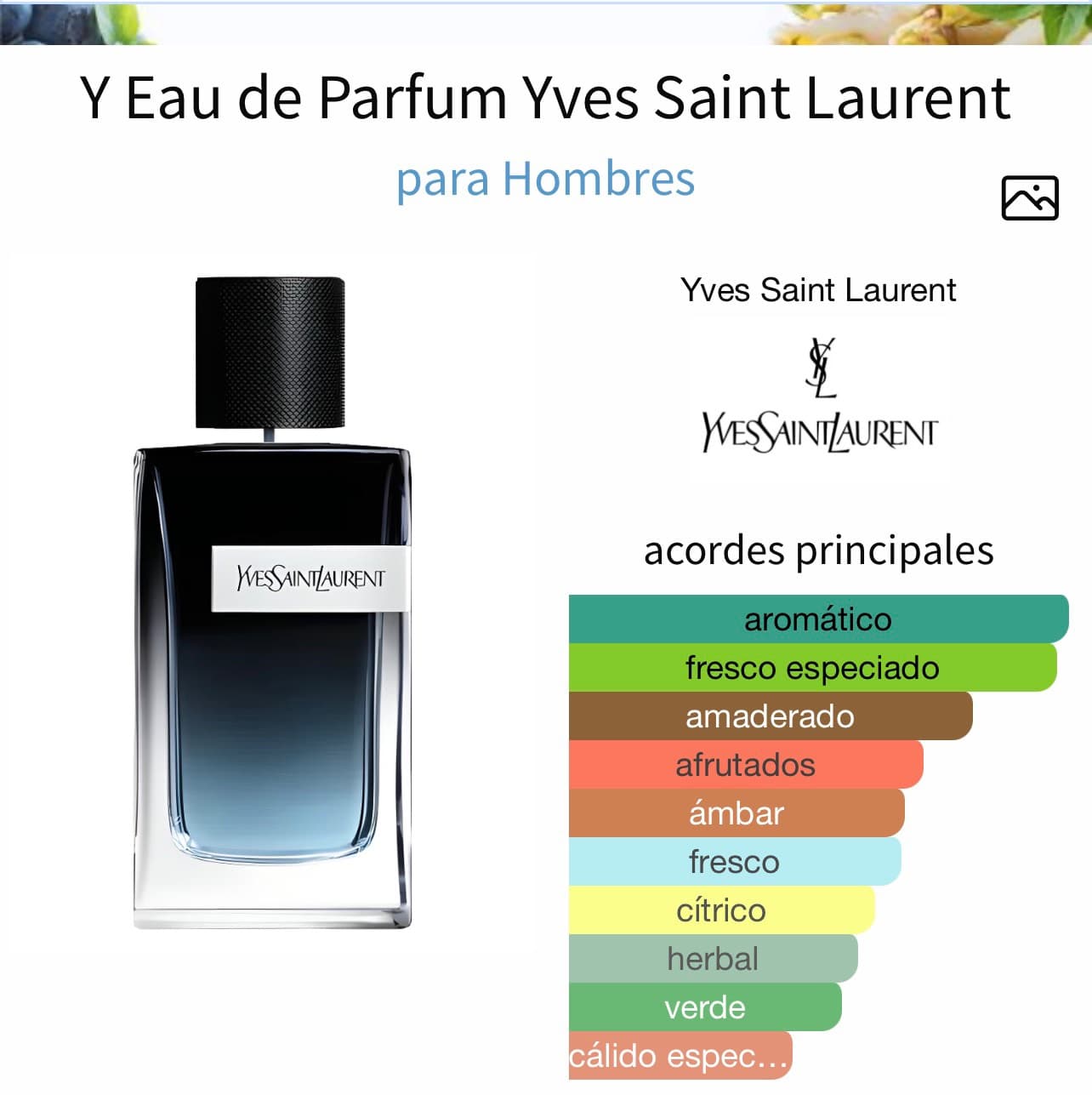 Miniatura de Sense Ghamra