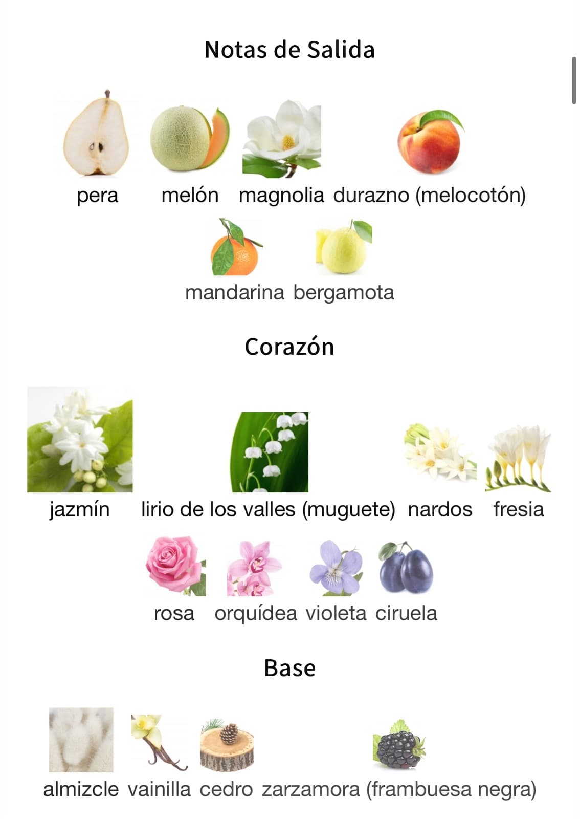 Miniatura de Sense Mashaer