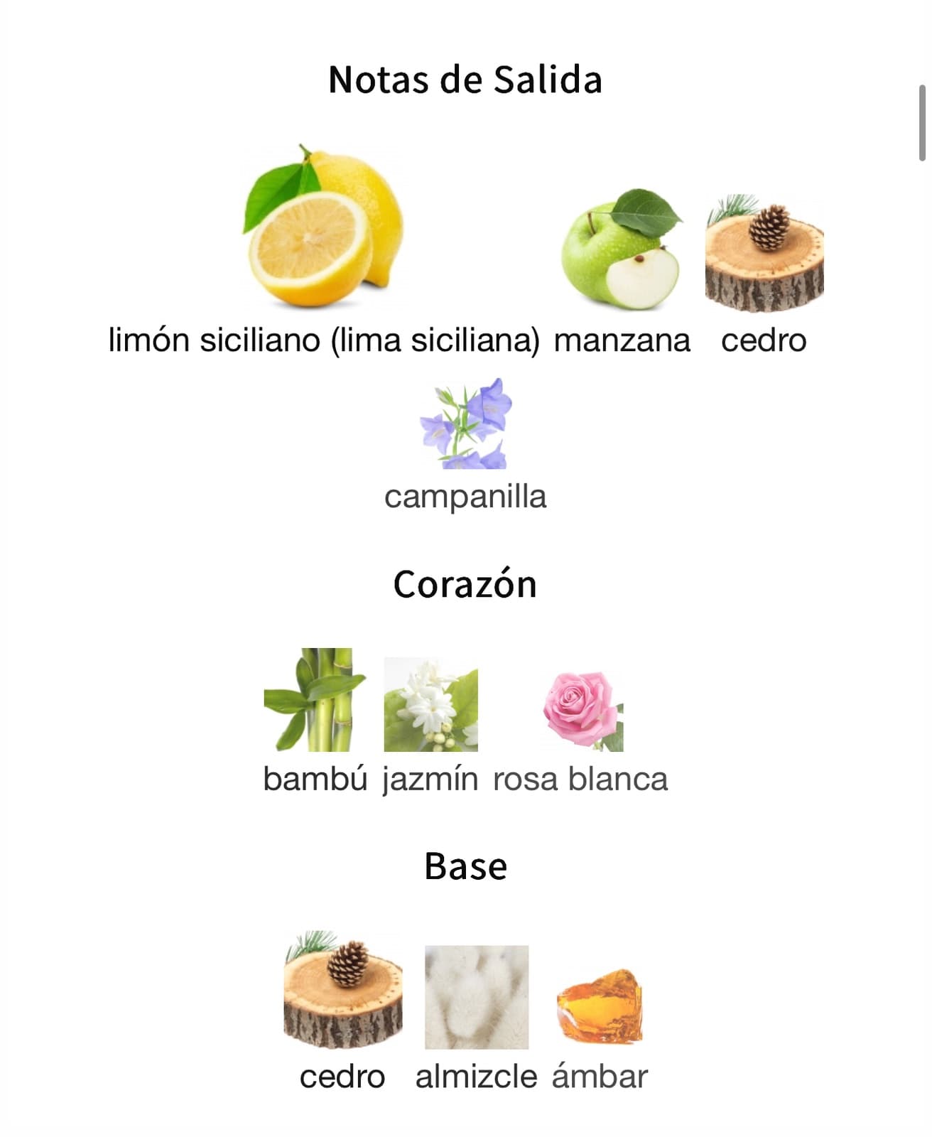Miniatura de Sense Nour EN FALTA
