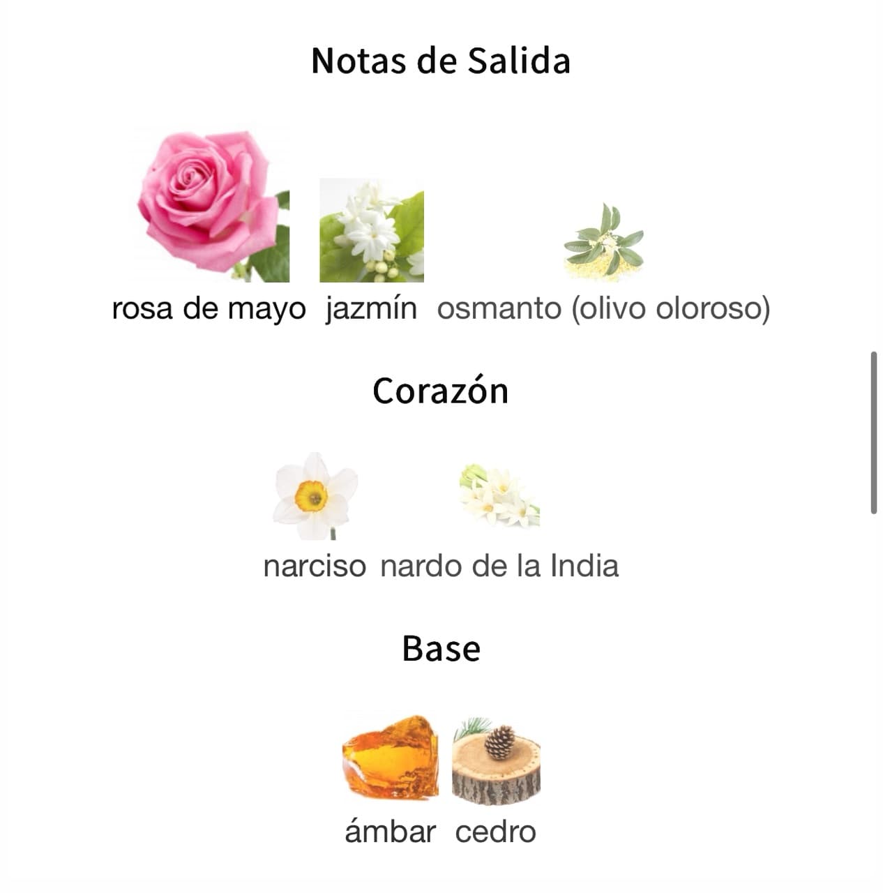 Miniatura de Shagaf Al Ward