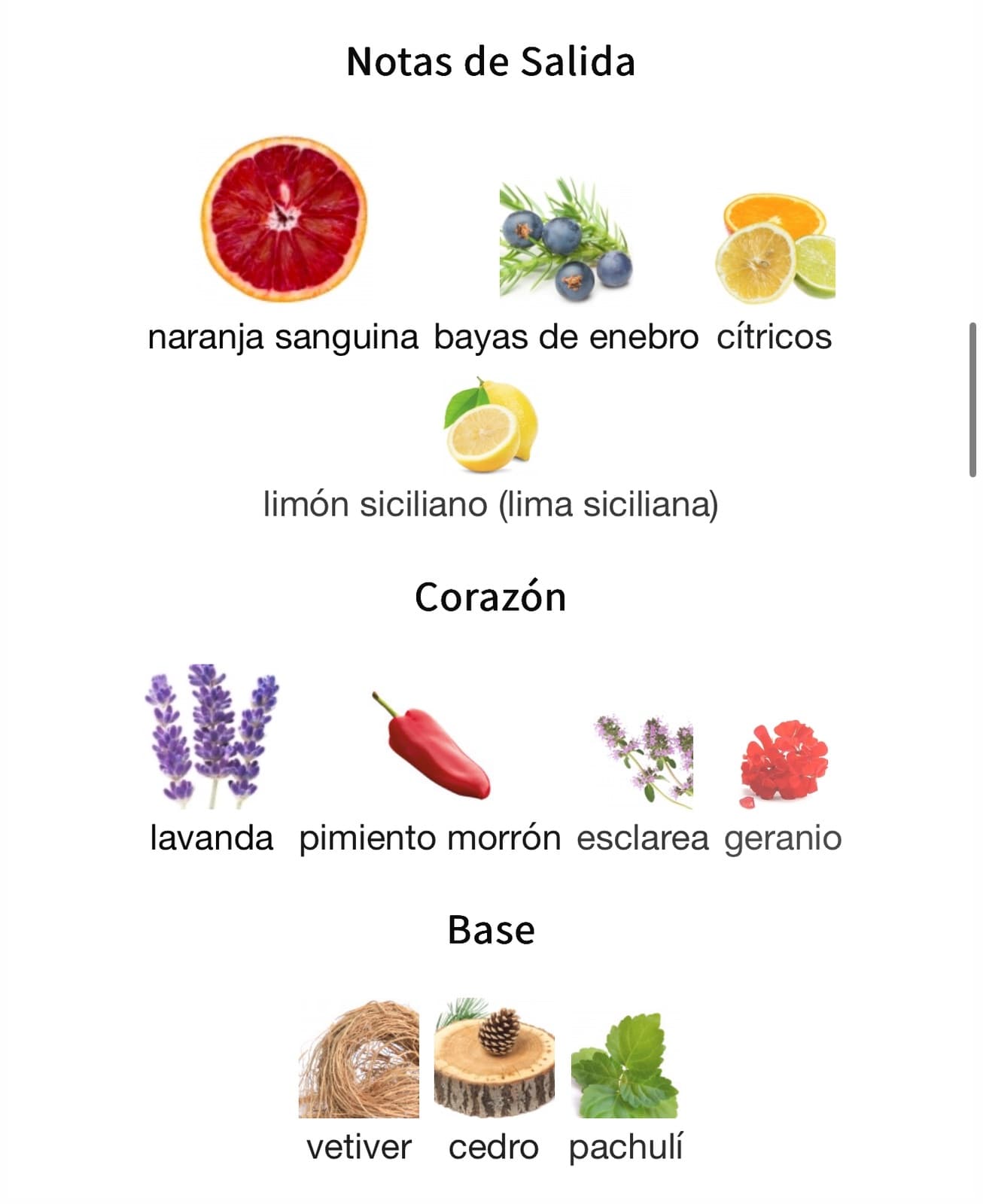 Miniatura de Sultán Al Lail
