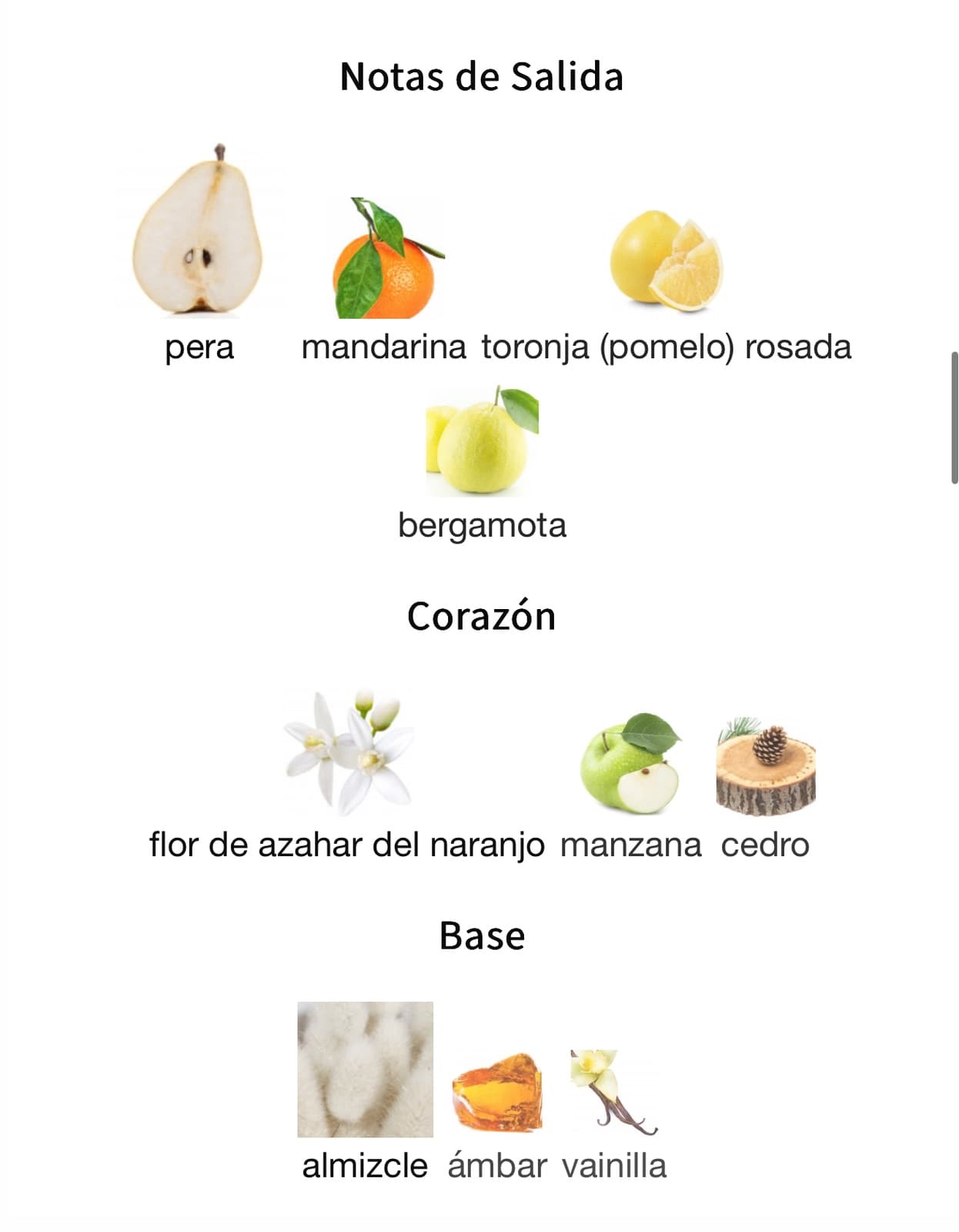 Miniatura de Turathi Eléctric
